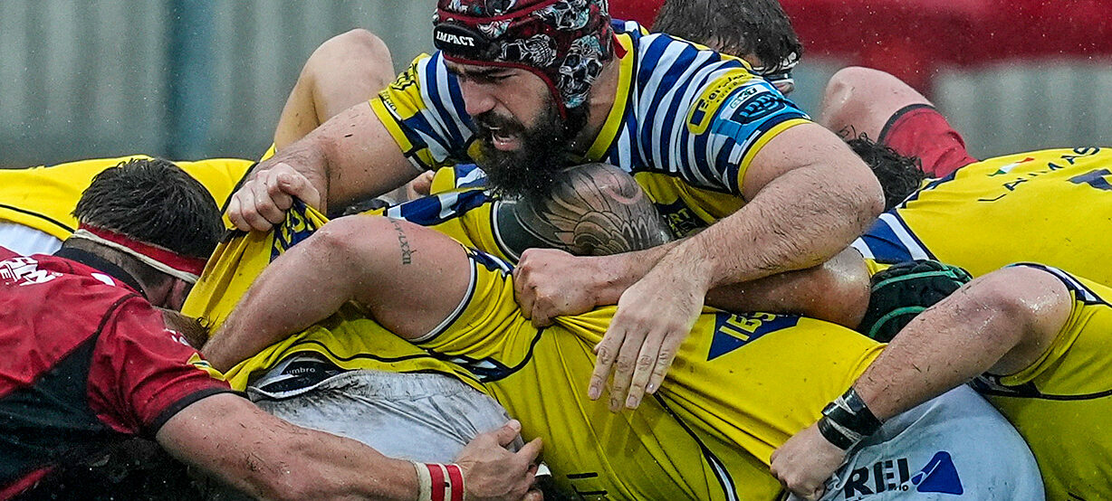 Zebre ingenue, i Lions vincono di un punto